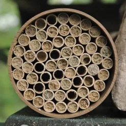 Mason Bee Nests -Stark Bro's Sales Store 1745 960x960 1