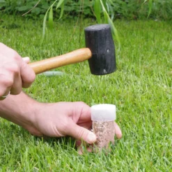 Fruit Tree & Ornamental Gro-Stakes® 5 Fruit Tree & Ornamental Gro-Stakes® -Stark Bro's Sales Store 2251 960x960 1