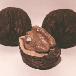 Stark® Black Gem® Walnut -Stark Bro's Sales Store 2371 960x960 1