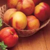 Hardired Nectarine