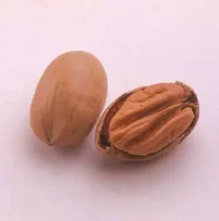 Stark Bro's Sales Store -Stark Bro's Sales Store 289 960x960 1