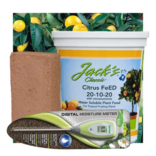 Citrus Tree Success Kit -Stark Bro's Sales Store 4165 960x960 1