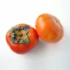 Jiro Asian Persimmon