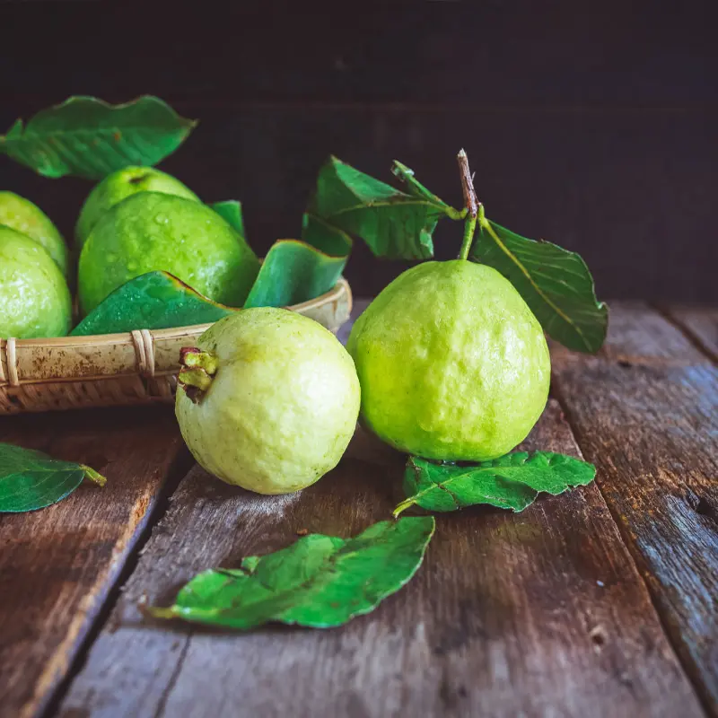 Pineapple Guava 2 Pineapple Guava - Image 2