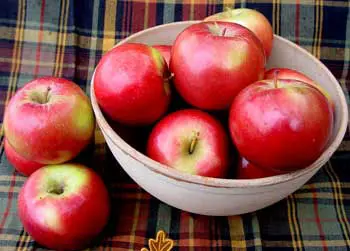 SnowSweet® Apple 2 SnowSweet® Apple - Image 2