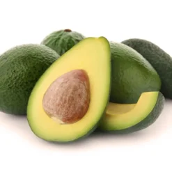 Catalina Avocado